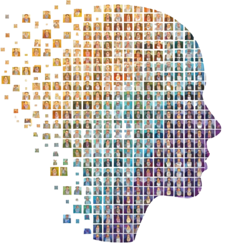 The Human Mosaic